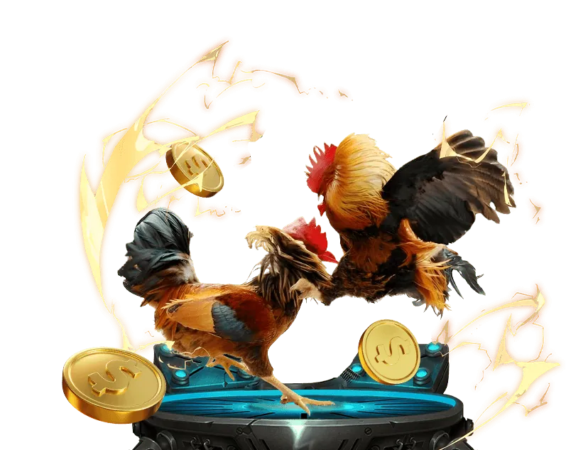 Biểu đồ chiến thuật cá cược đá gà